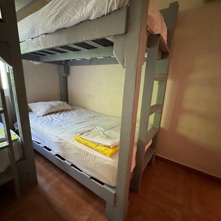 Pecari 26 Leilighet Cancún Eksteriør bilde