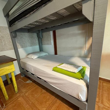 Pecari 26 Leilighet Cancún Eksteriør bilde