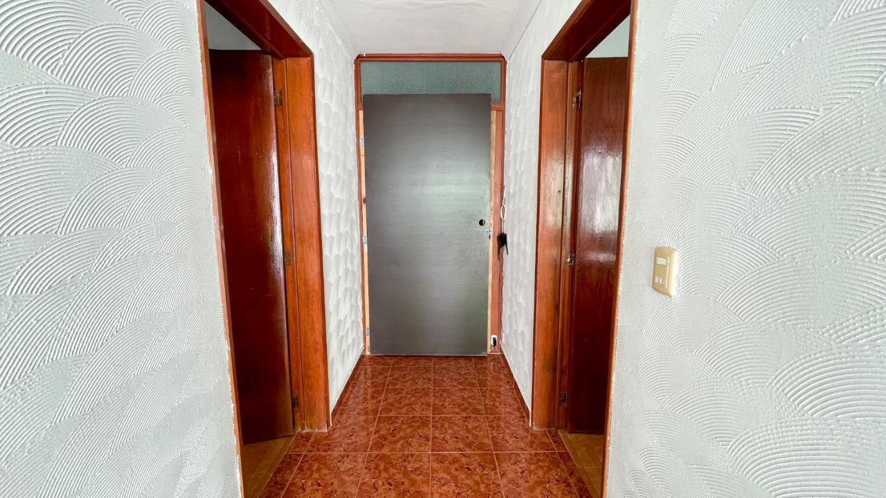 Pecari 26 Leilighet Cancún Eksteriør bilde