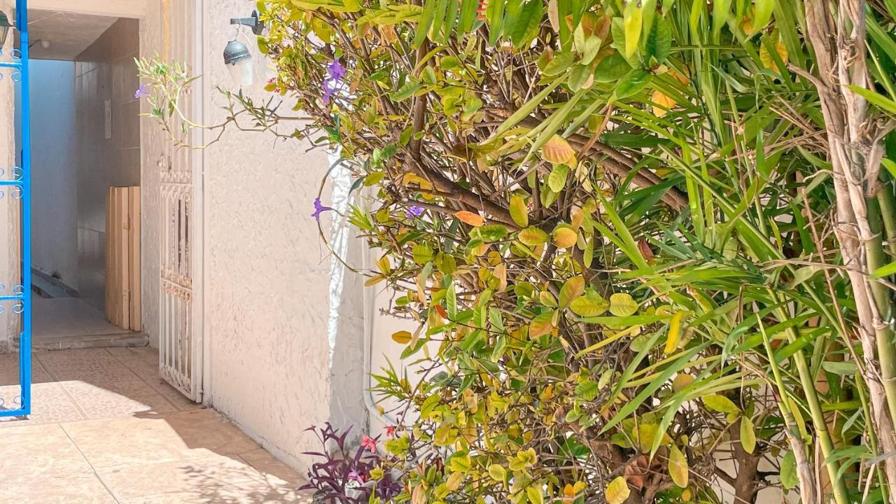 Pecari 26 Leilighet Cancún Eksteriør bilde